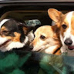 Meet your Posher, Edward